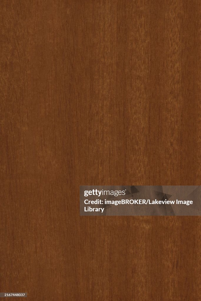 Background of wood grain from Mahogany, the straight-grained, reddish-brown timber of three tropical hardwood species of the genus Swietenia, part of the chinaberry family, Meliaceae, found in the Americas