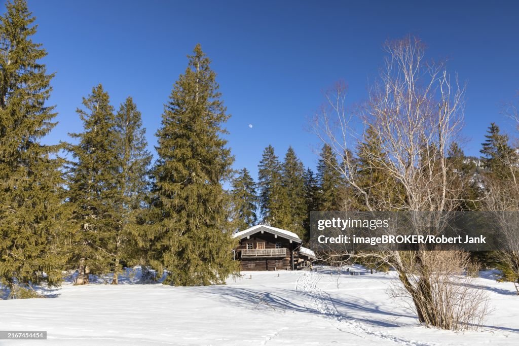 Hut on the frozen Lödensee near Ruhpolding