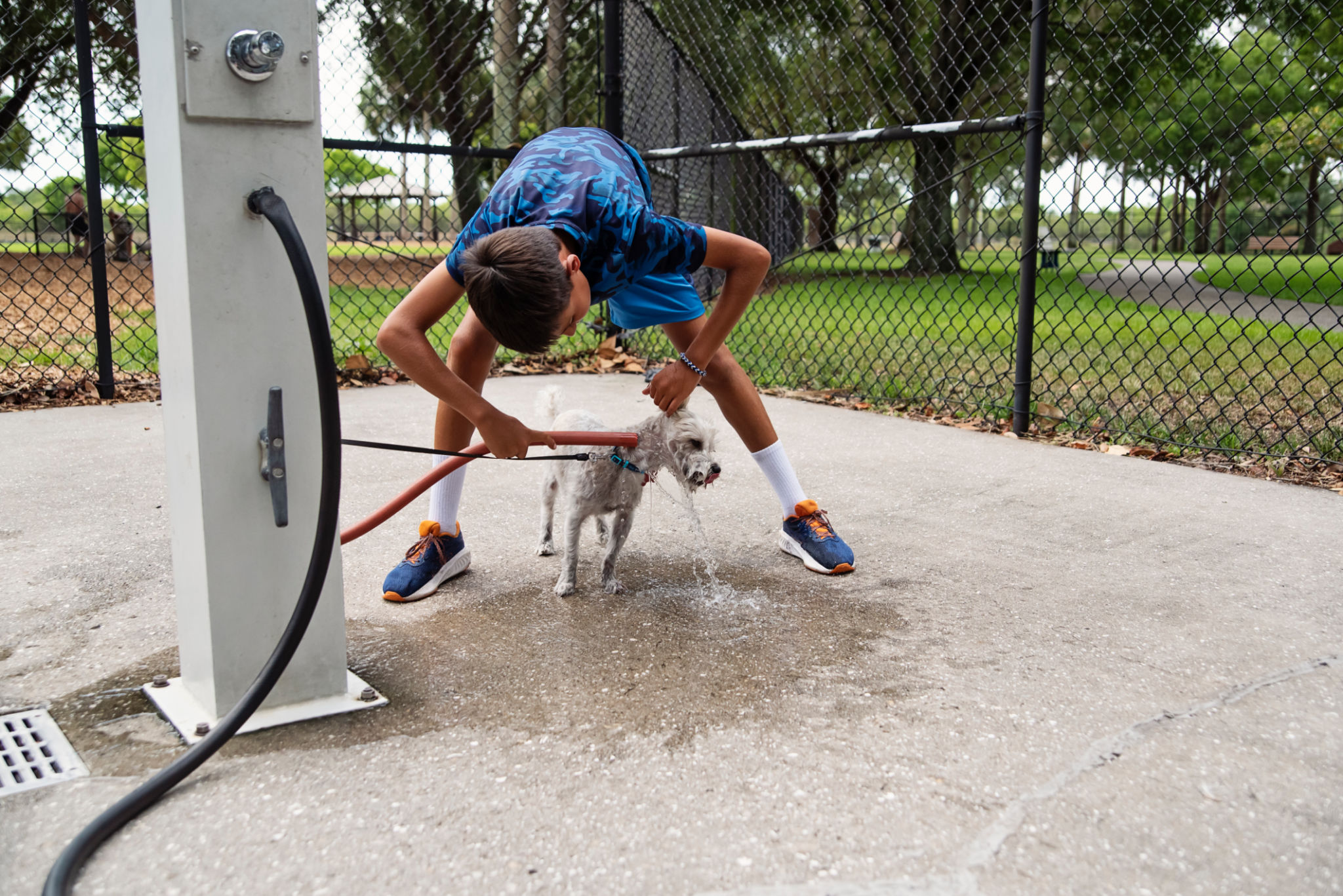 dog park cleanup