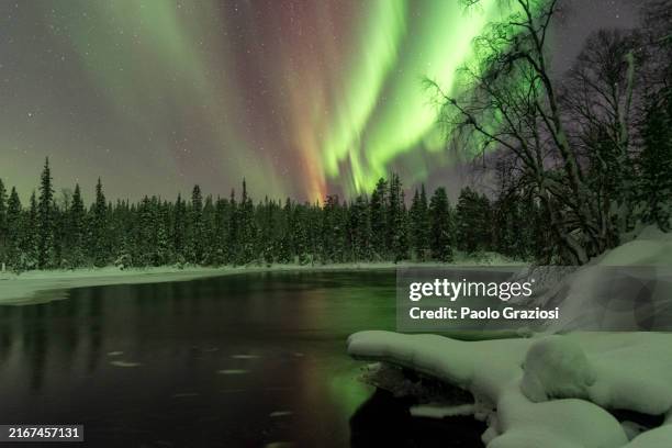 northern lights display in the starry sky in the forest, finland - taiga imagens e fotografias de stock