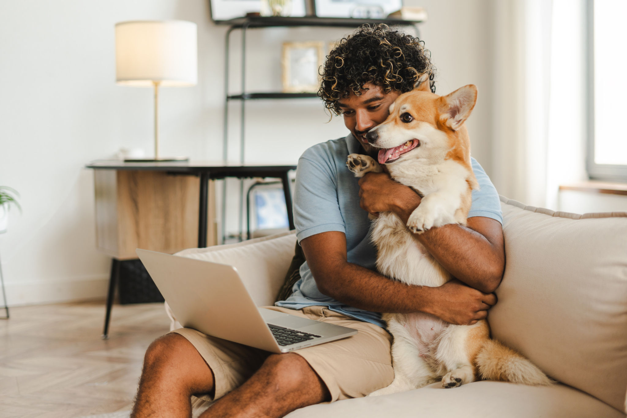 online shopping pets