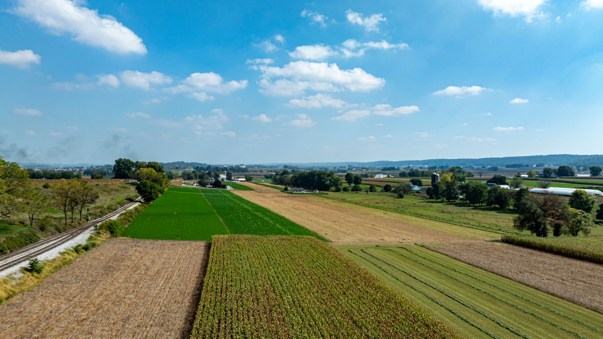 crop rotation