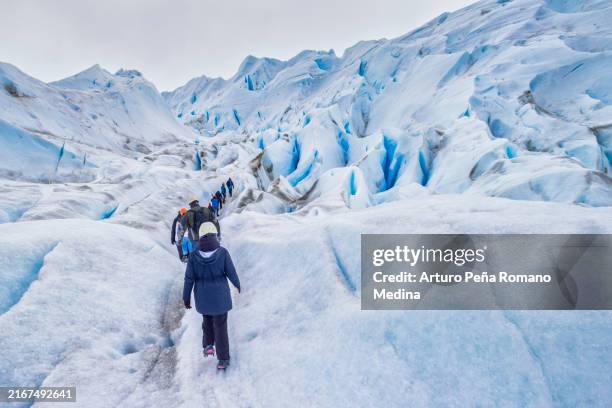 tourist at perito moreno, la patagonia. - los glaciares national park stock pictures, royalty-free photos & images