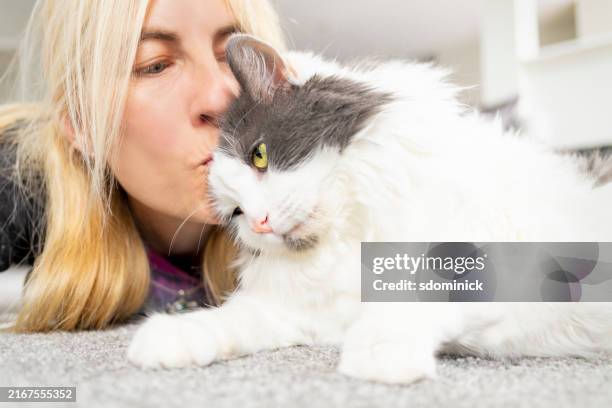mujer besando gato en la cabeza - frotar fotografías e imágenes de stock