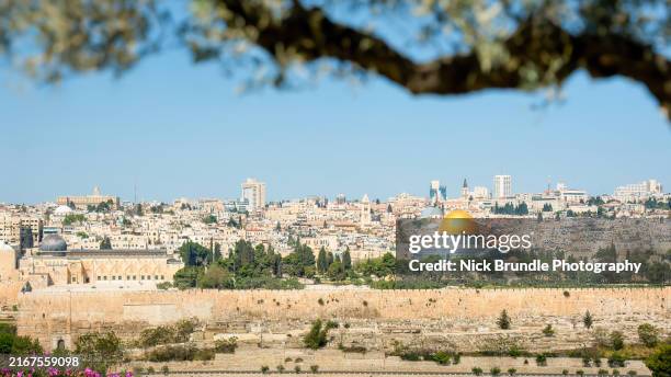 jerusalem, old city, israel. - jerusalem bildbanksfoton och bilder