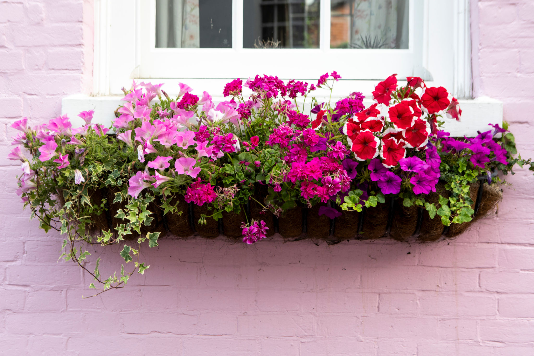 window boxes