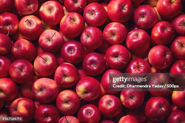 pile of red apples with water drops - apple bildbanksfoton och bilder