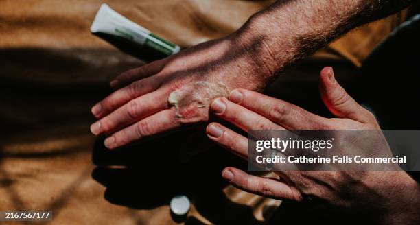 a person rubs lotion onto dry knuckles - dermatitis stock pictures, royalty-free photos & images