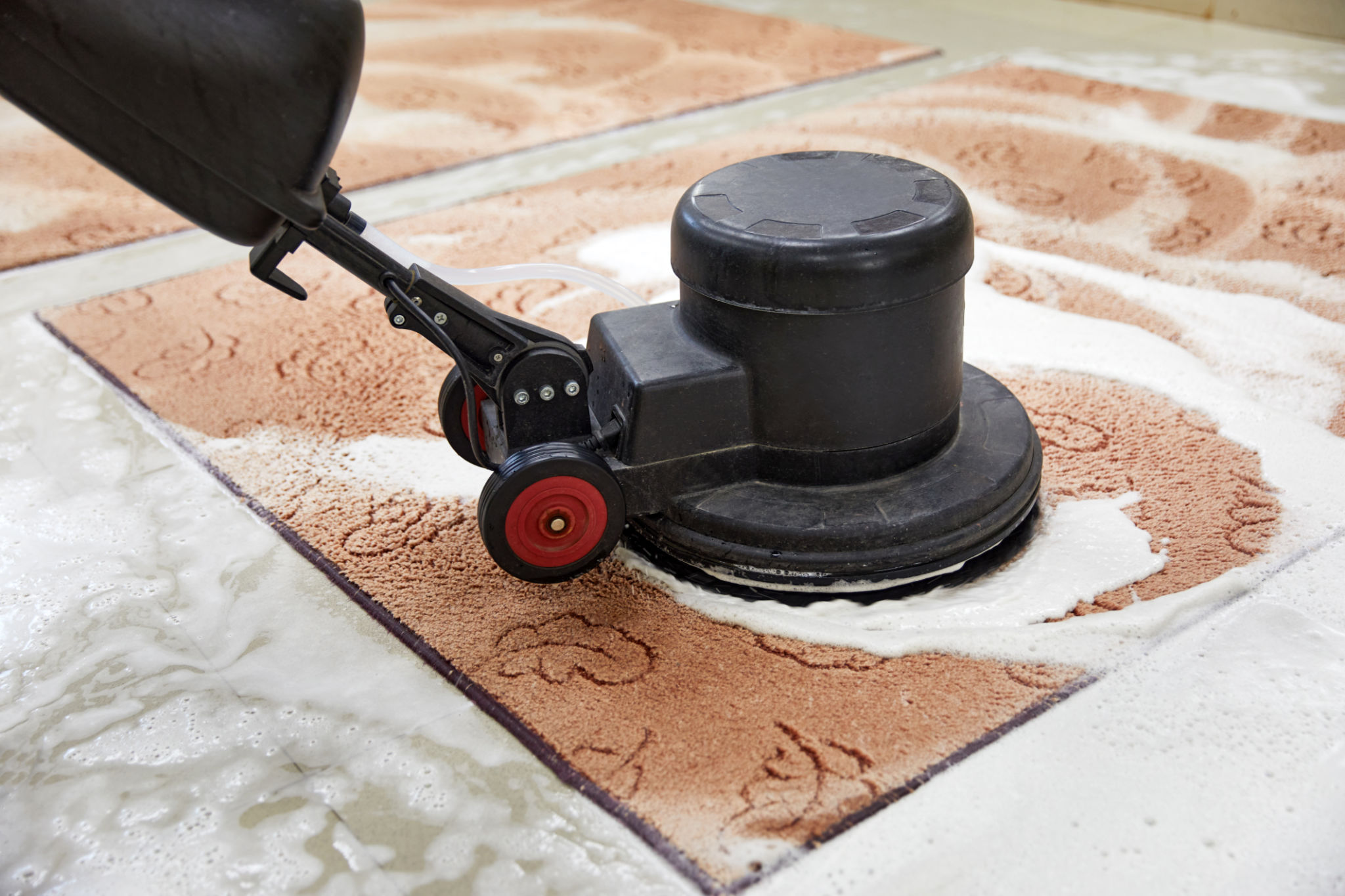 rug cleaning
