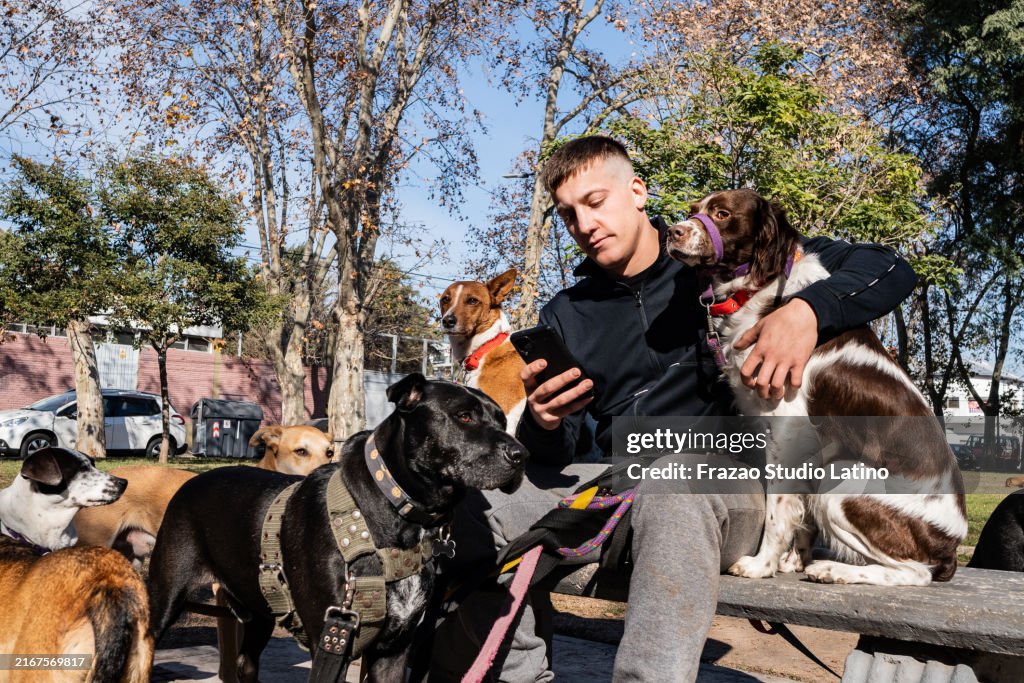 Pet sitter taking care of dogs and using mobile phone in a public park
