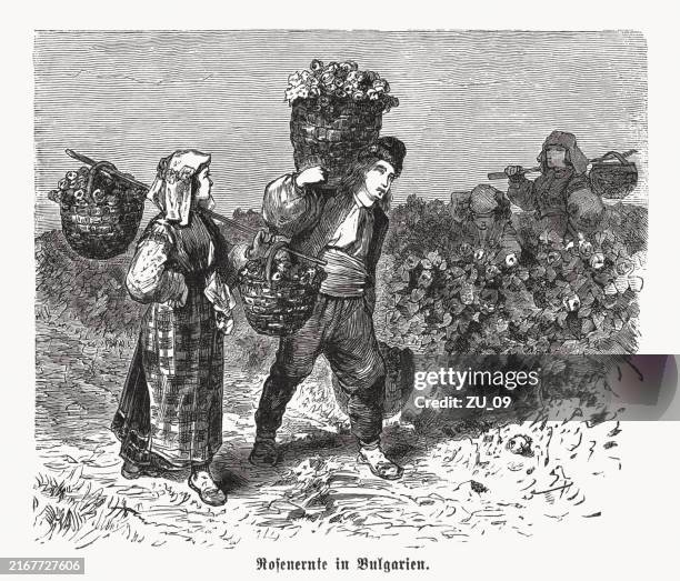 stockillustraties, clipart, cartoons en iconen met rose harvest in bulgaria, wood engraving, published in 1892 - traditionele kledij