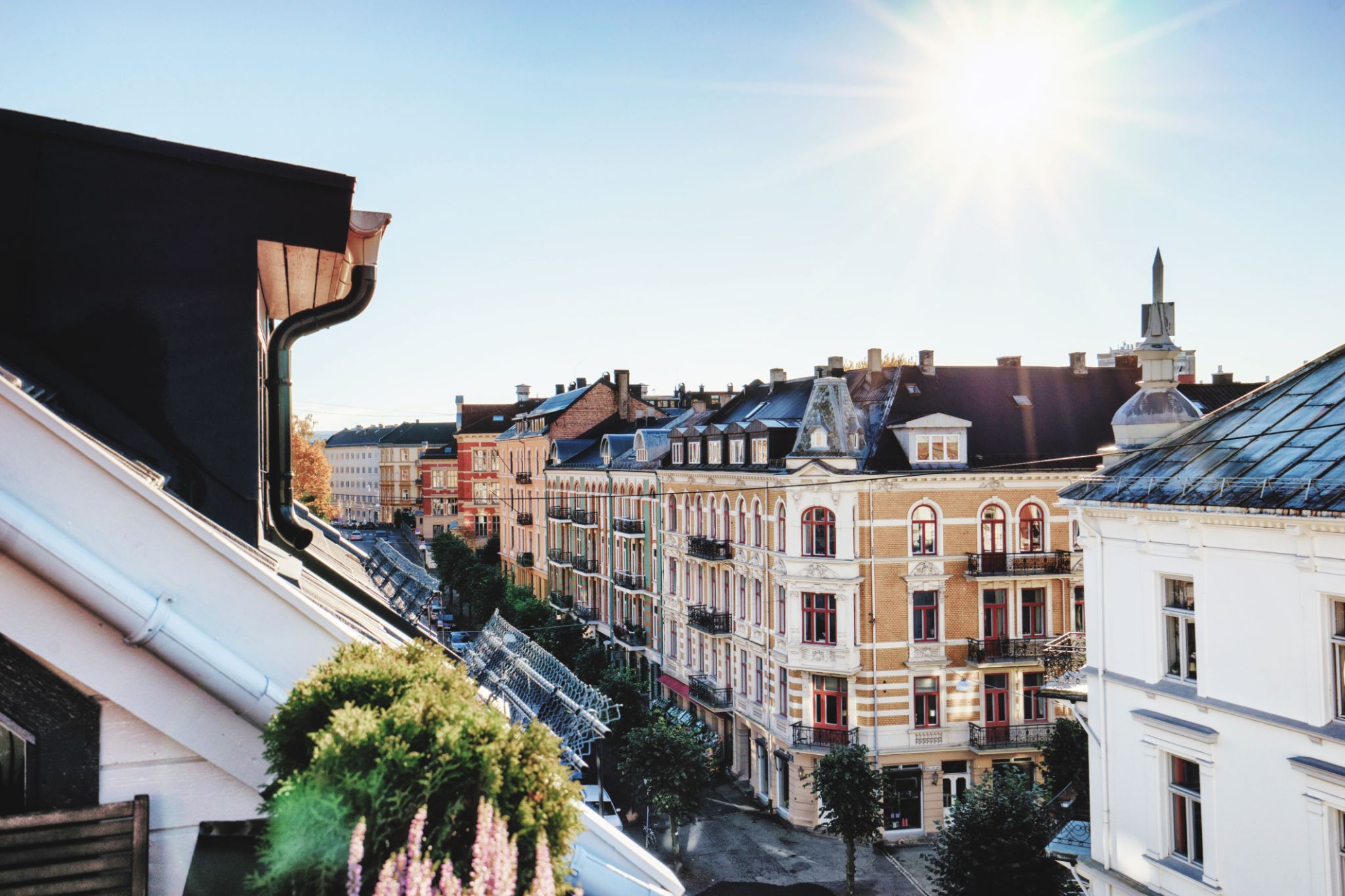oslo homes