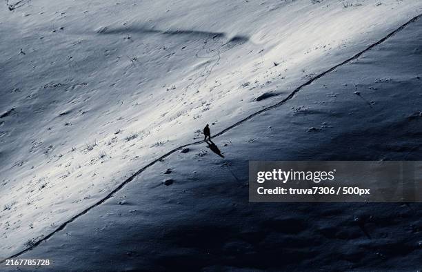 high angle view of man walking on sand - skier portrait stock pictures, royalty-free photos & images