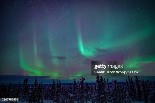 scenic view of aurora borealis over snow covered landscape against sky at night,fairbanks,alaska,united states,usa - fairbanks stock pictures, royalty-free photos & images