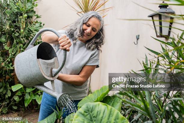 mature woman watering plants in the garden - watering can stock pictures, royalty-free photos & images