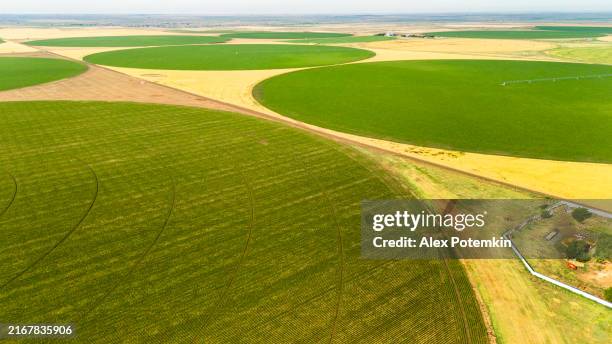 a moderna tecnologia de irrigação molda as terras agrícolas do kansas. campos de retalhos que se estendem no condado de seward - círculo nas plantações - fotografias e filmes do acervo