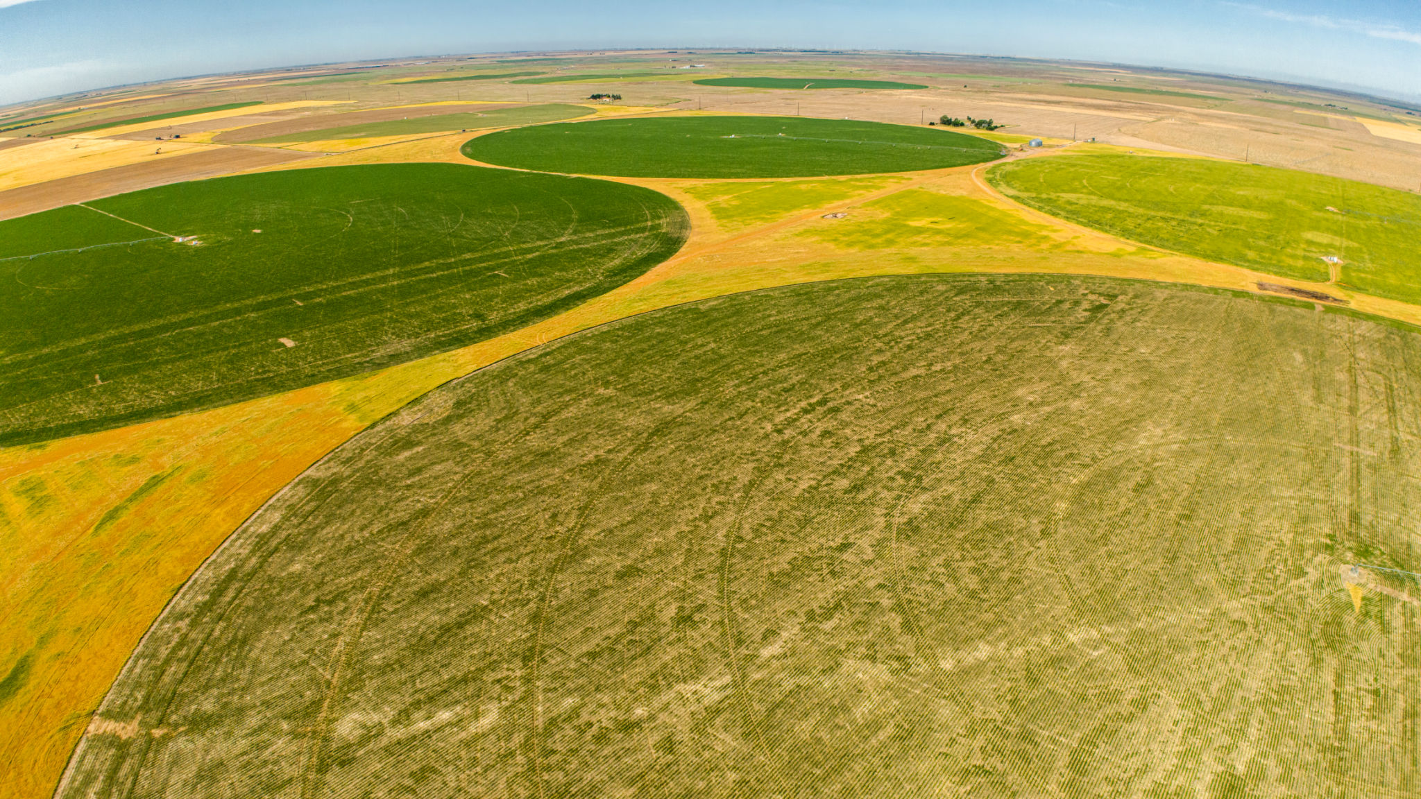 crop rotation