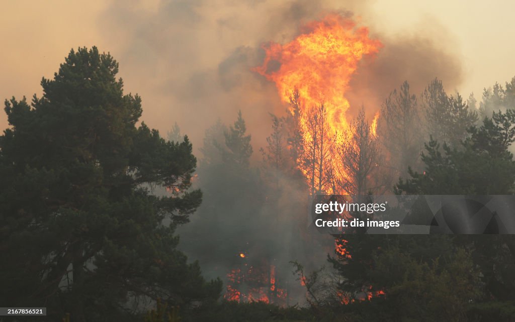 Fire in Ankara, Turkey