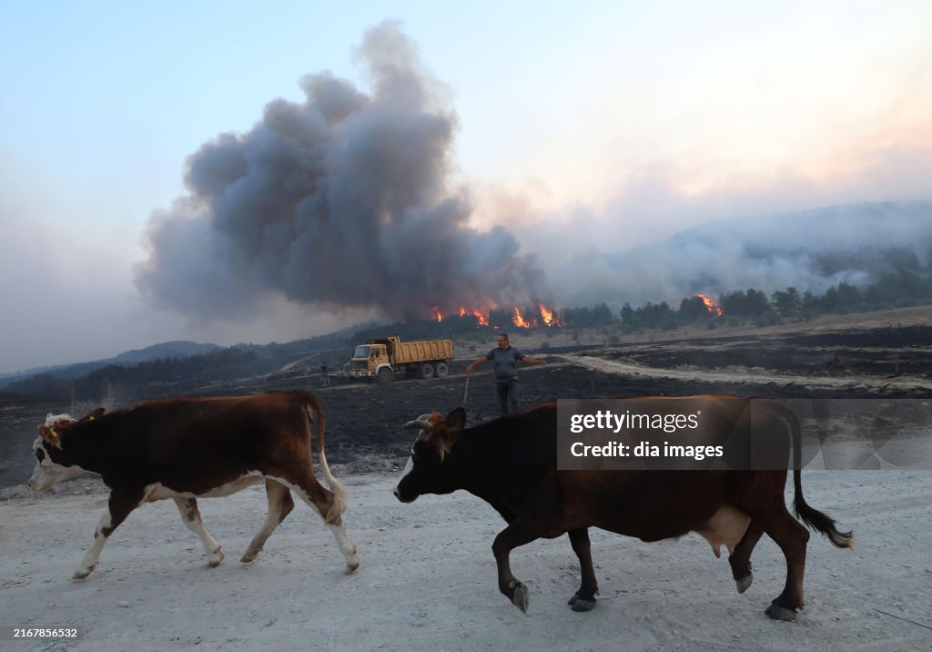 Fire in Ankara, Turkey