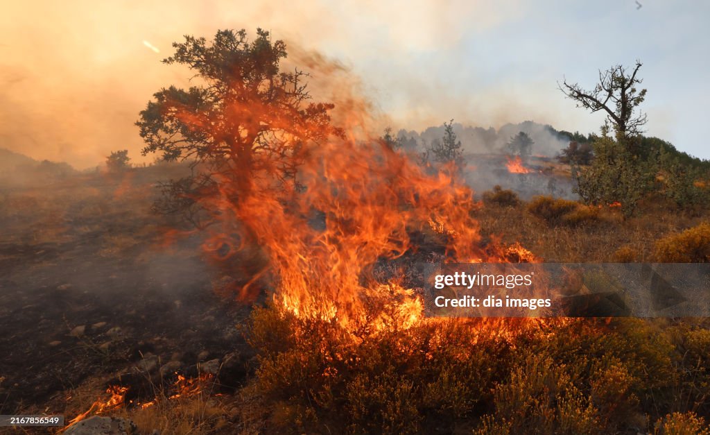 Fire in Ankara, Turkey