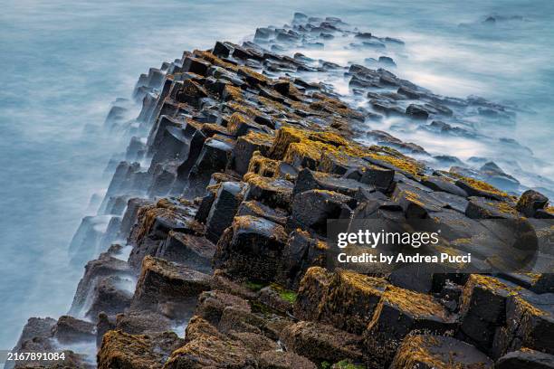 giant’s causeway, antrim coast, northern ireland, united kingdom - dammstraße stock-fotos und bilder