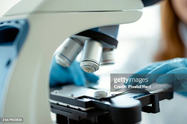 microscope, sciences médicales et mains dans un laboratoire - microbiologie photos et images de collection