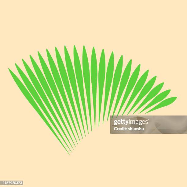 abstract halftone stripes plant leaf vector pattern background - palm leaf stock illustrations
