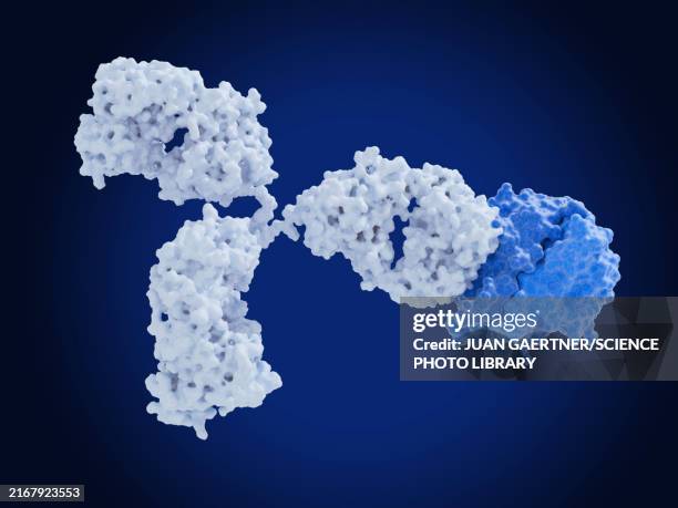 therapeutic antibody adalimumab inhibiting tnf-a, illustration - antibody stock illustrations