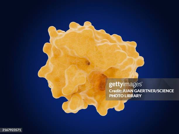 prostate-specific antigen with bound substrate, illustration - digital biomarker stock illustrations