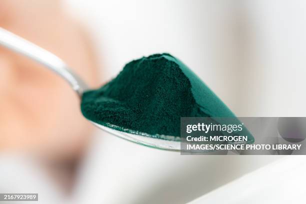 spoon of spirulina - spirulinabacterie stockfoto's en -beelden