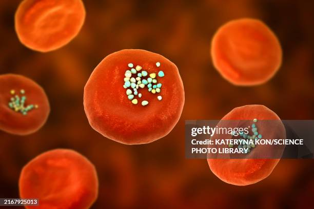 illustrations, cliparts, dessins animés et icônes de erythrocytes with plastic microparticles, illustration - nanoparticule