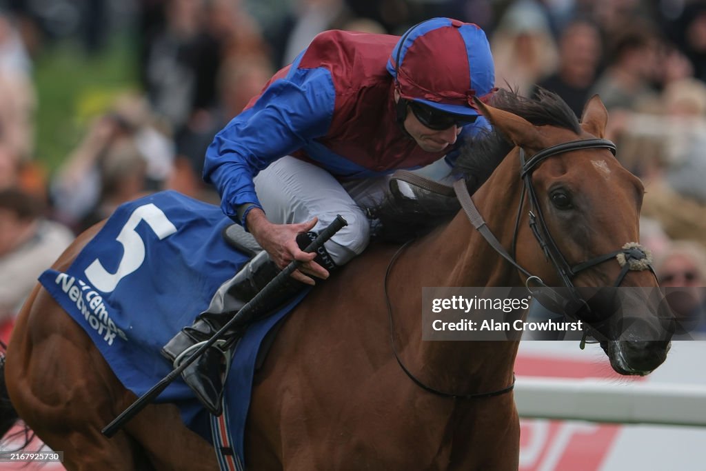 York Races