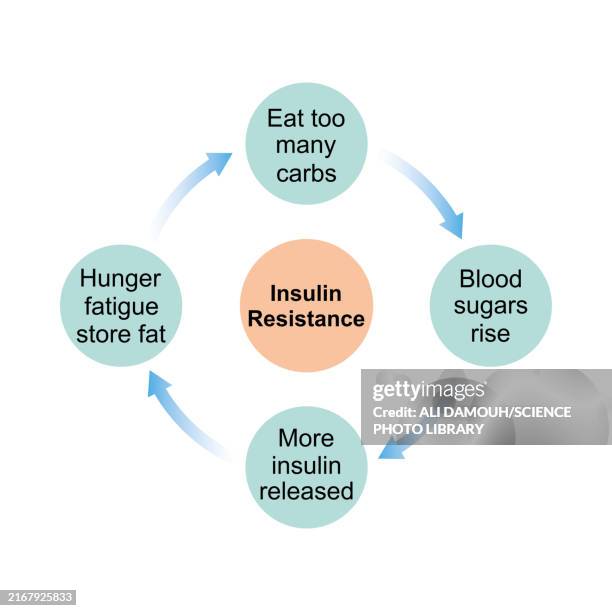 insulin resistance, illustration - reversing stock illustrations