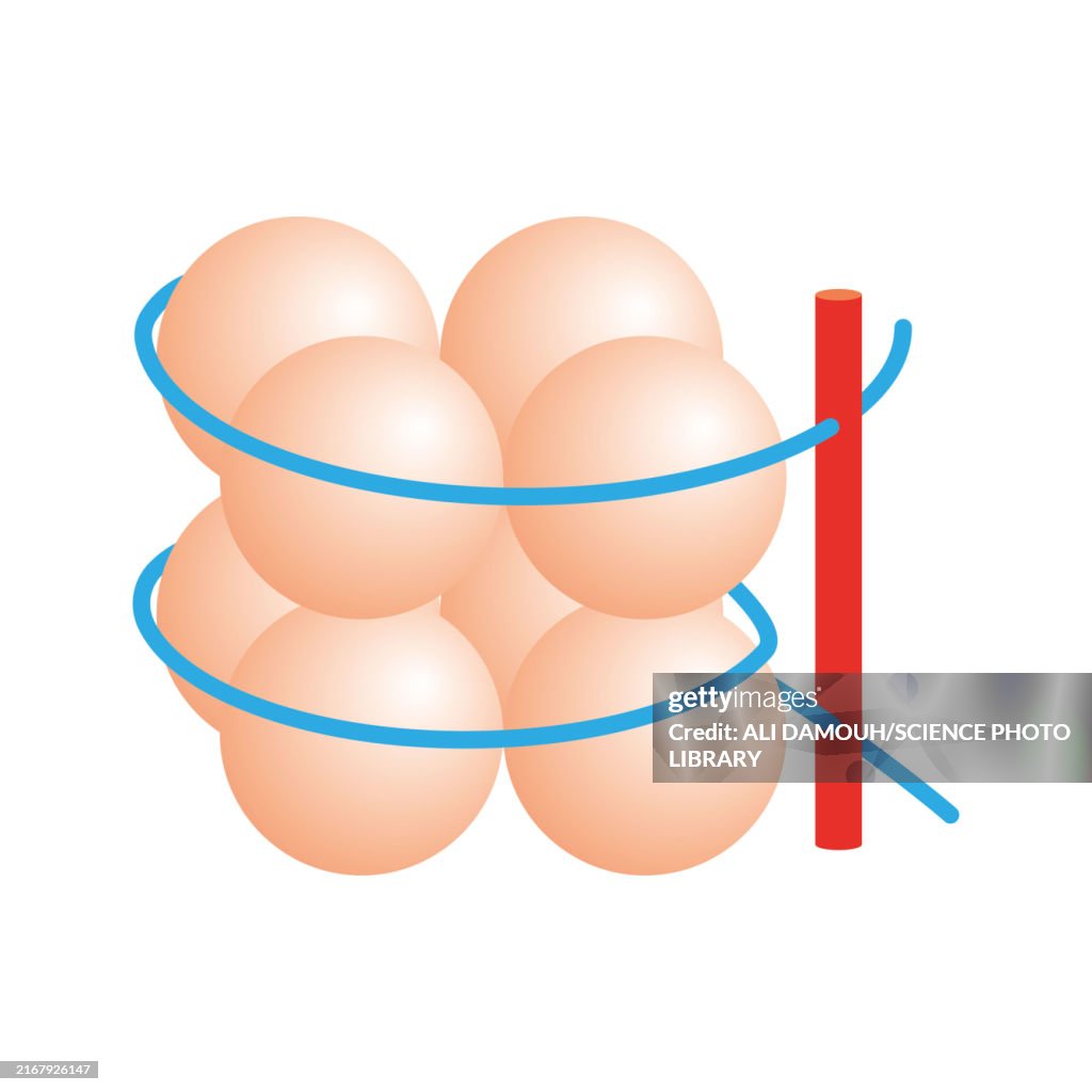 Histone structure, illustration