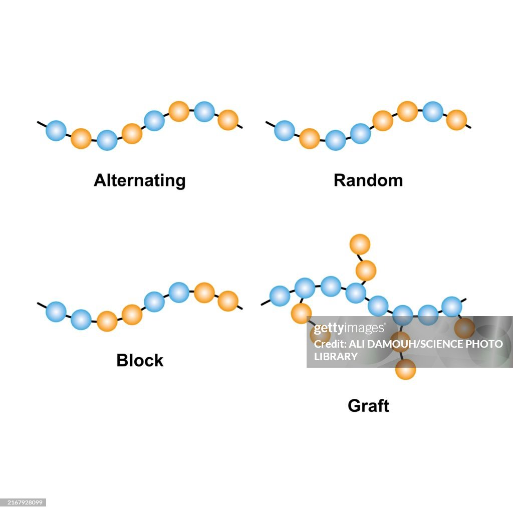 Copolymer Types Illustration High-Res Vector Graphic - Getty Images
