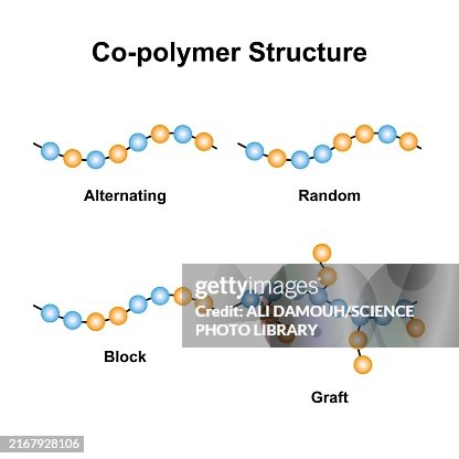 Copolymer Types Illustration High-Res Vector Graphic - Getty Images