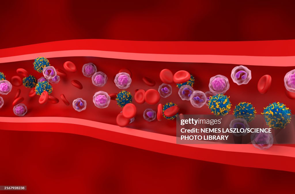 CAR-T cells in blood vessel, illustration