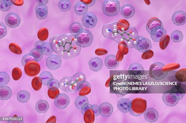 norepinephrine molecule, illustration - neurotransmitter stock illustrations