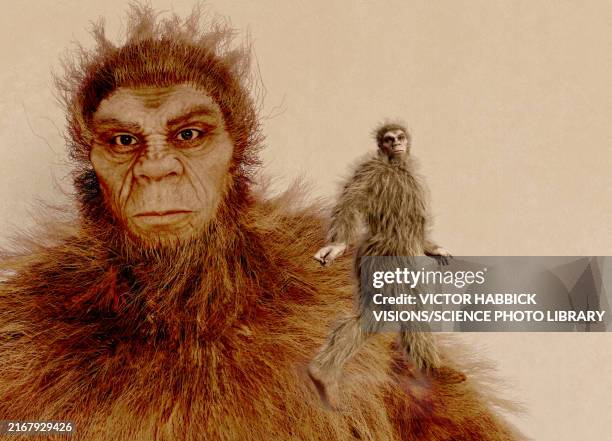 bigfoot, conceptual illustration - yeti stock illustrations