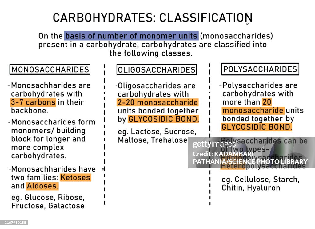 Classification of carbohydrates, illustration