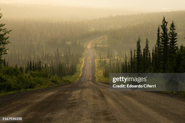 wild tundra alaska - denali highway stock pictures, royalty-free photos & images
