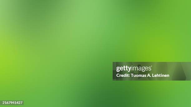 soft, bright, vibrant and blurred green color gradient background. - fondo verde fotografías e imágenes de stock
