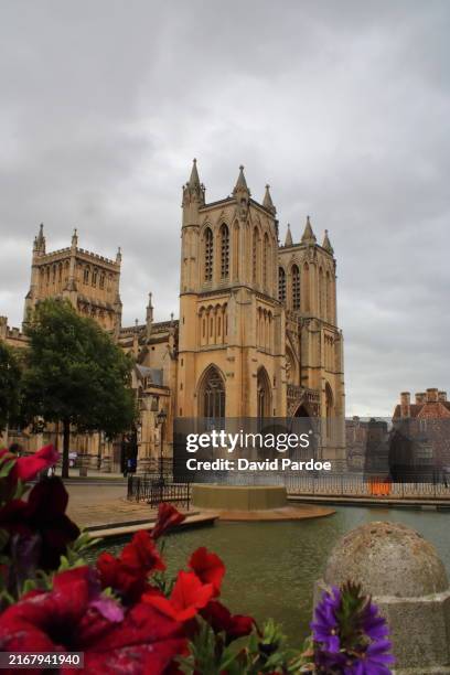 bristol cathedral - bristol cathedral stock pictures, royalty-free photos & images