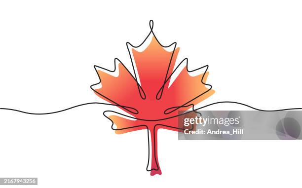 maple leaf, herbst oder canada day kontinuierliche strichzeichnung mit editierbaren strich- und farbelementen - ahornblatt stock-grafiken, -clipart, -cartoons und -symbole