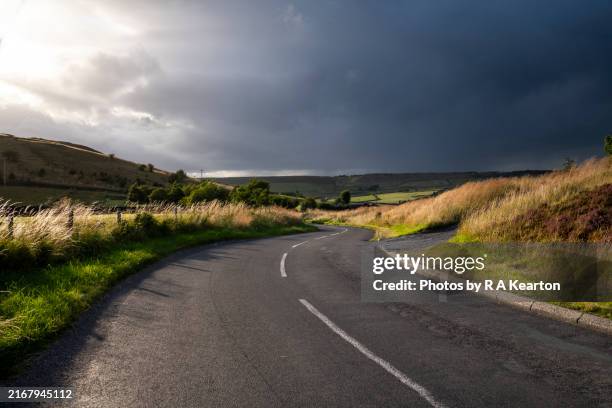 country road in late summer sunlight - roadside stock pictures, royalty-free photos & images