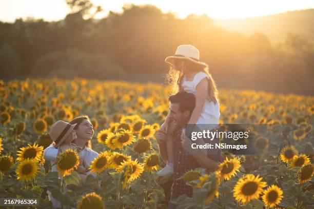 linda familia joven en la granja de girasol, foto almacenada - familia de la margarita fotografías e imágenes de stock