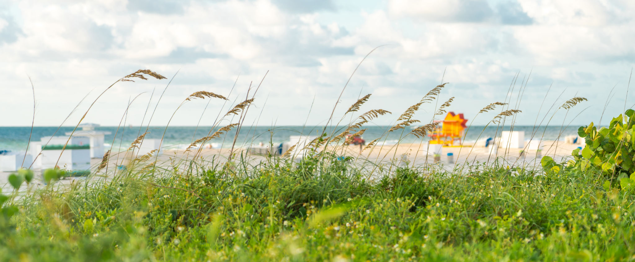 florida beach tourism