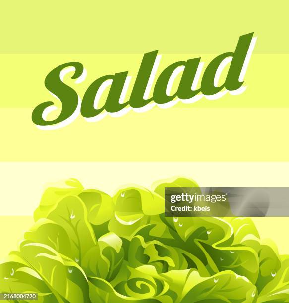 fresh lettuce salad - green salad stock illustrations