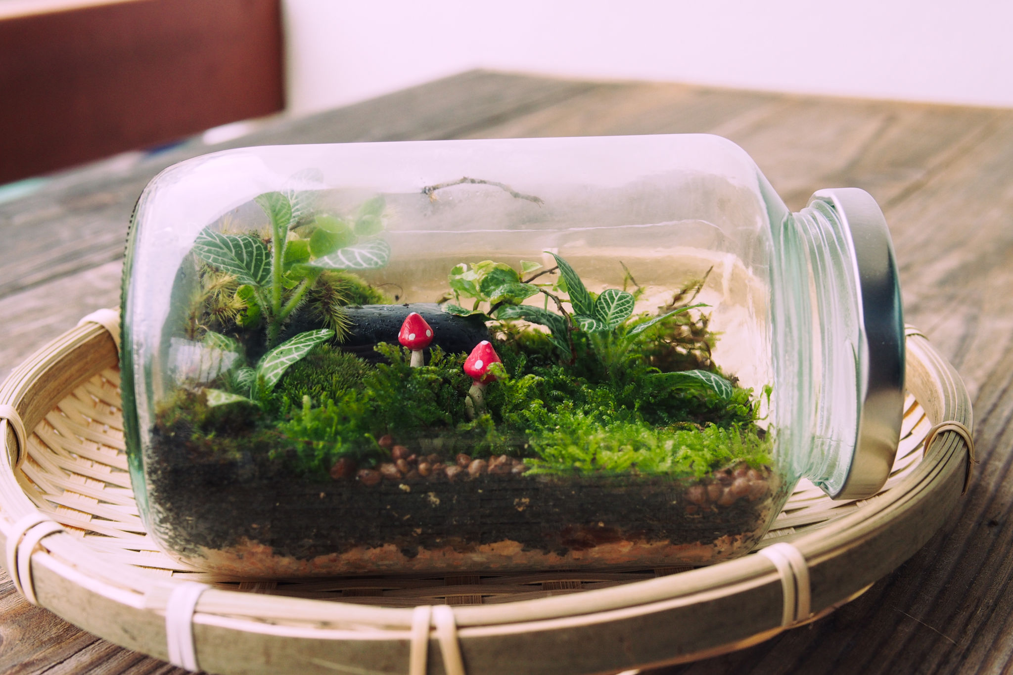 green terrarium