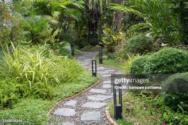 tranquil stone path through a lush tropical garden - voie pédestre photos et images de collection